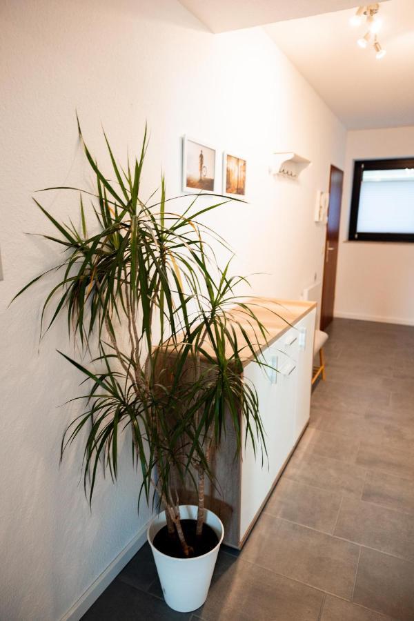 Ferienwohnung Am See - Sport Und Erholung - Wlan Winterberg Buitenkant foto