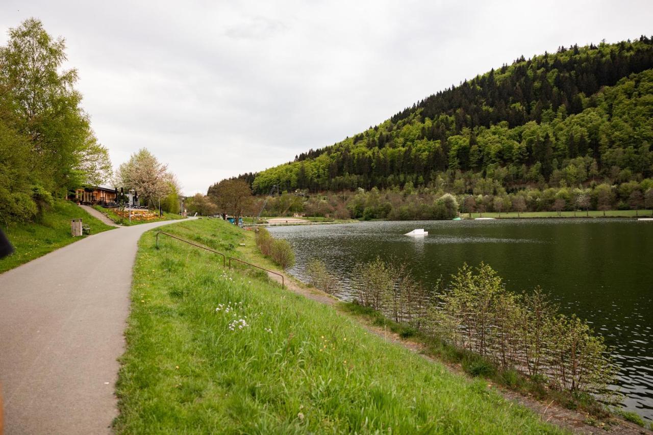 Ferienwohnung Am See - Sport Und Erholung - Wlan Winterberg Buitenkant foto